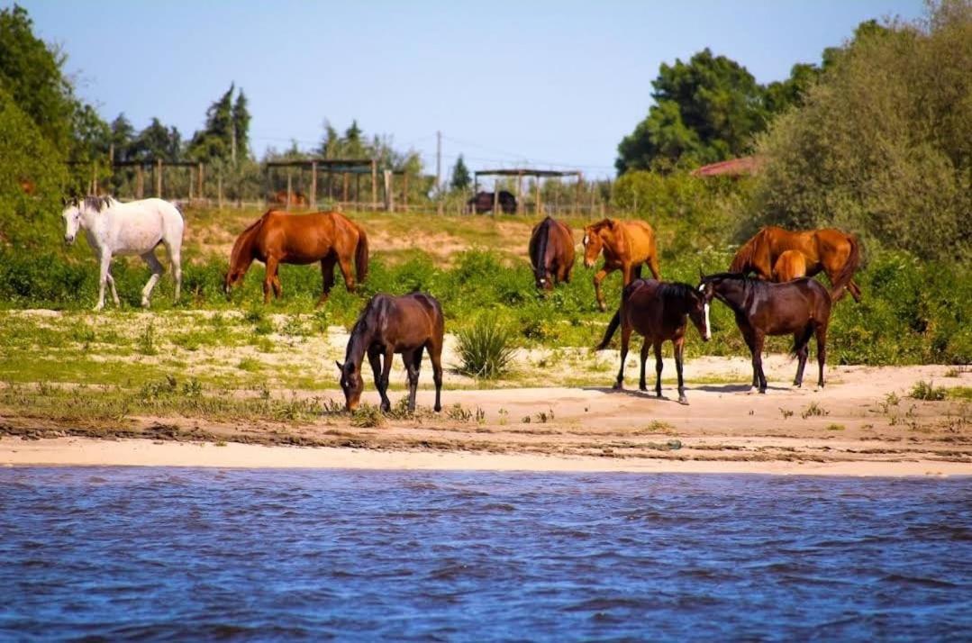 Quinta Ferias No Ribatejo