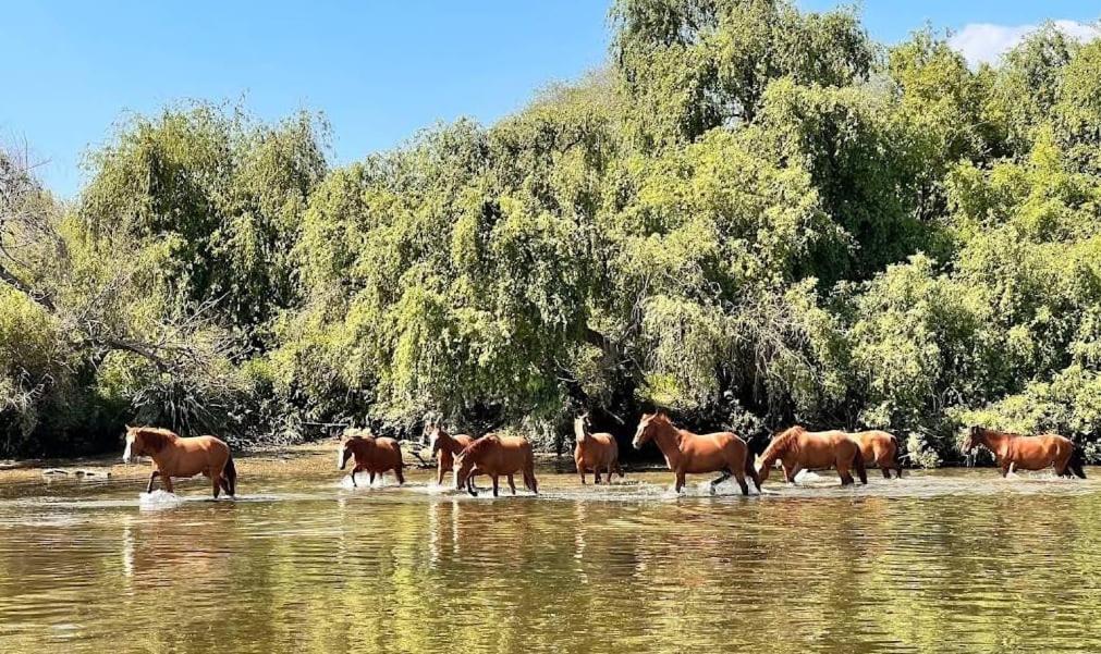 Quinta Ferias No Ribatejo *