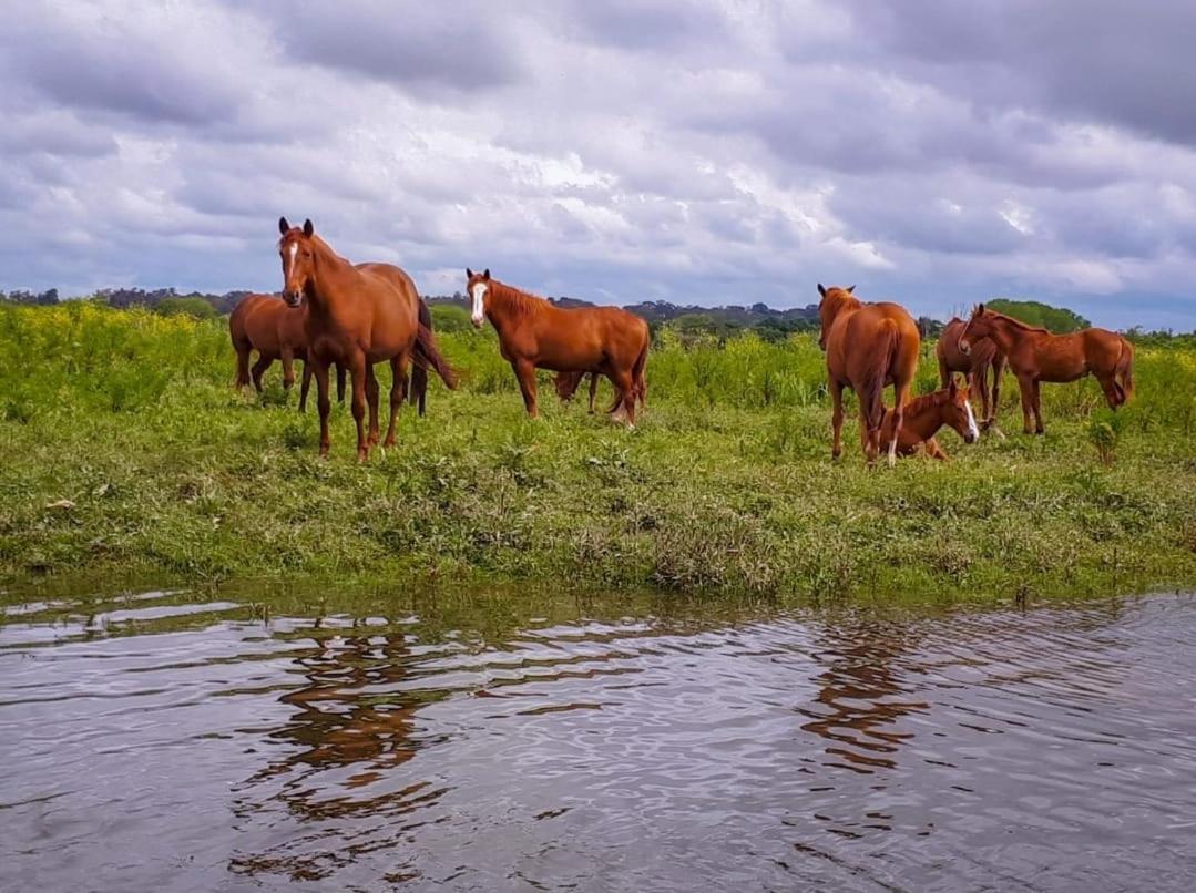 Quinta Ferias No Ribatejo